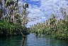 Mataranka. - Impresiones de Australia, by Laurenz Bobke.